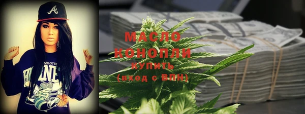 гашик Осинники