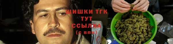 гашик Володарск
