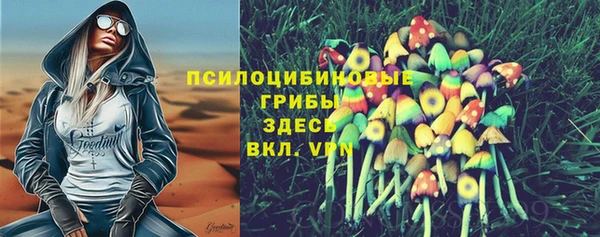 дживик Верея