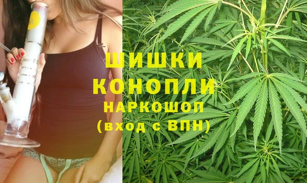шишки Волоколамск