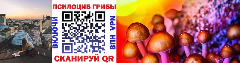 хочу Звенигово кракен зеркало Псилоцибиновые грибы мухоморы